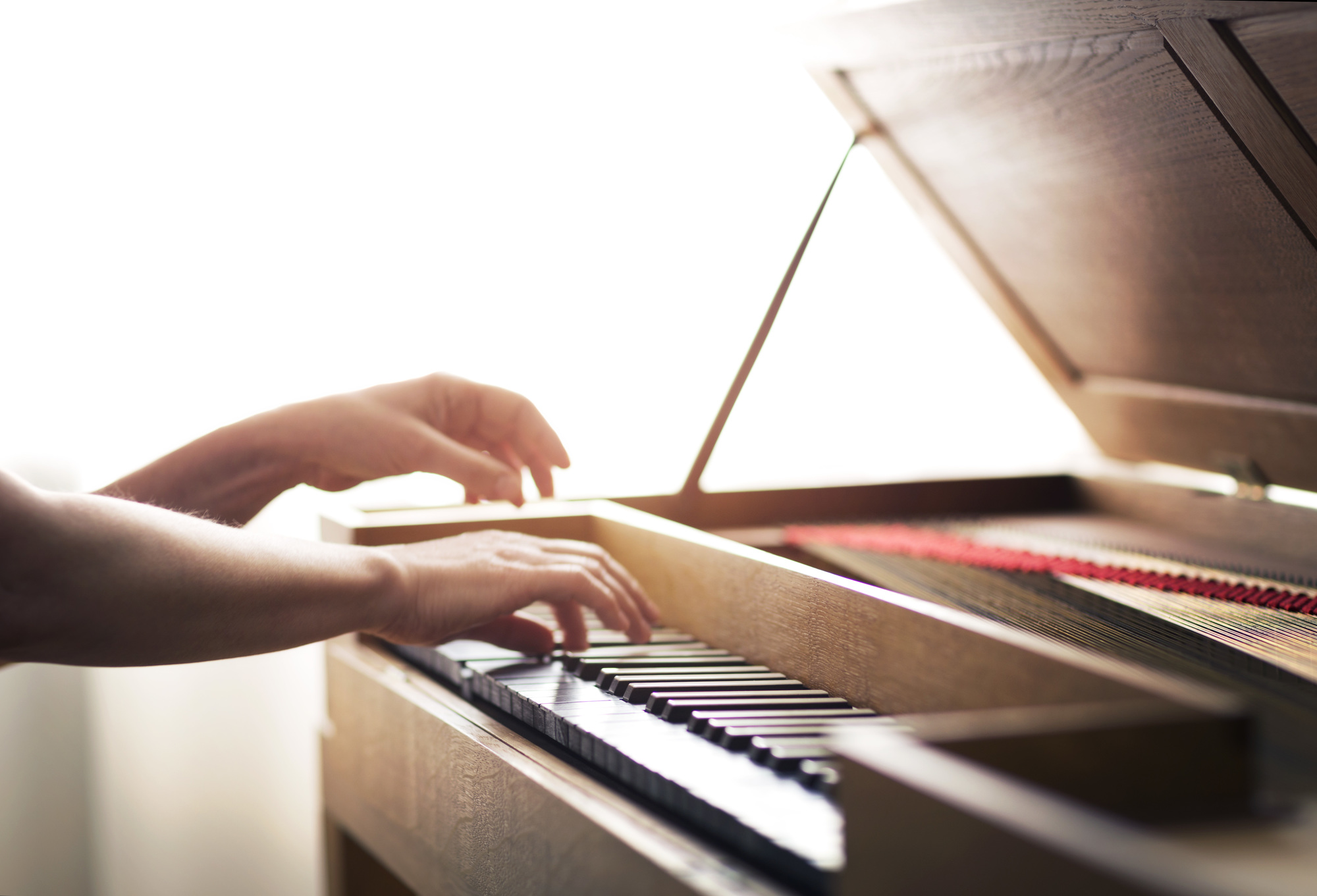 Irmela Roelcke - Foto: Astrid Ackermann